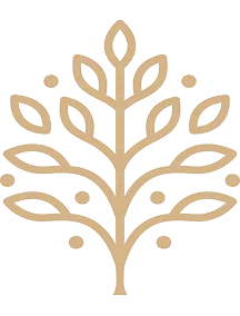 Sonomoa Sessions Logo