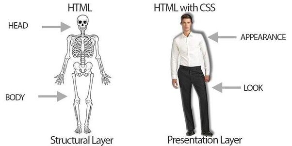 cascading style sheets (CSS)