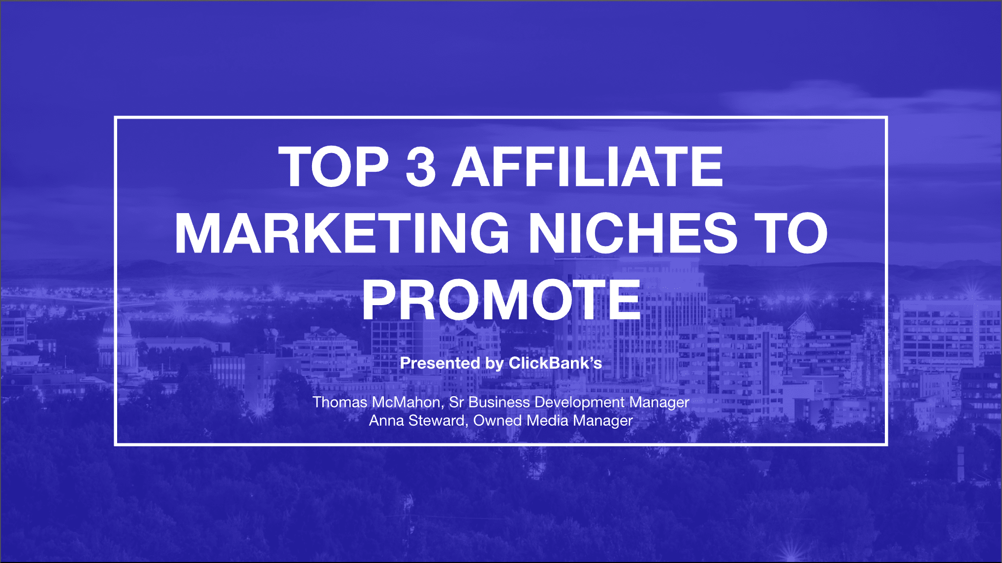 top affiliate marketing niches