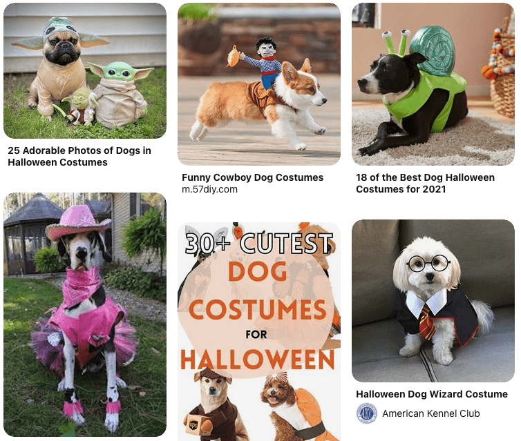 Dog Halloween Costume Pinterest Board Example