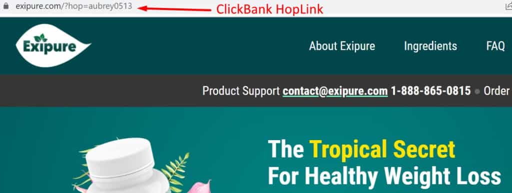 ClickBank HopLink example