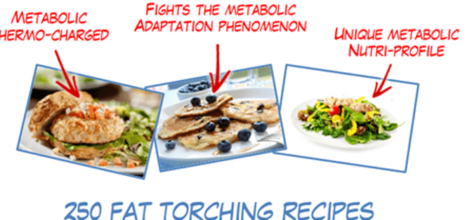 Metabolic Cooking